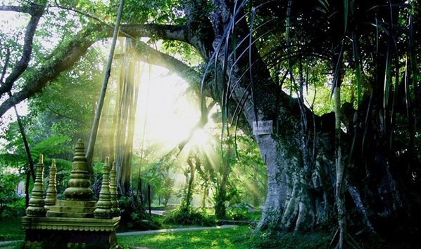 《豪門盛宴》昆大麗、版納豪華8日游