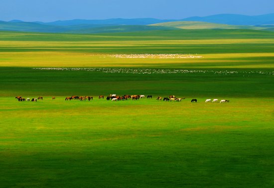 烏拉蓋、塔敏查干沙漠、大青溝雙臥5日游