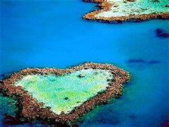 打造五星級體驗曼谷、芭堤雅、普吉島8晚10日